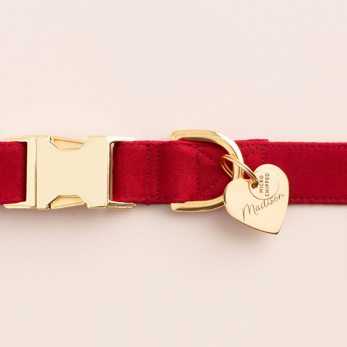 Microchipped Mini Pet ID Tag view 2