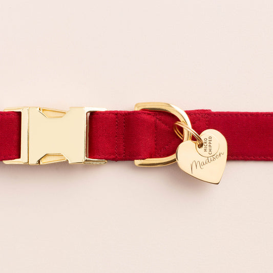 Microchipped Mini Pet ID Tag view 2