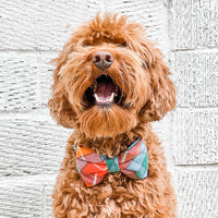 Buchanan Plaid Flannel Dog Bow Tie view 7