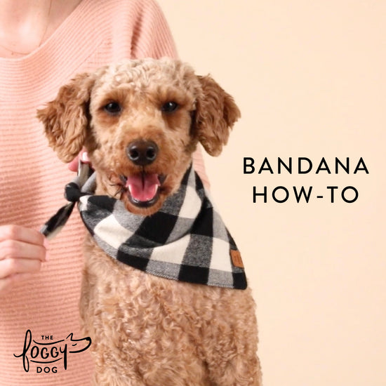 Pumpkin Spice Plaid Flannel Dog Bandana