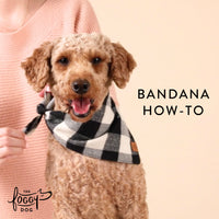 Cornucopia Plaid Flannel Dog Bandana view 8