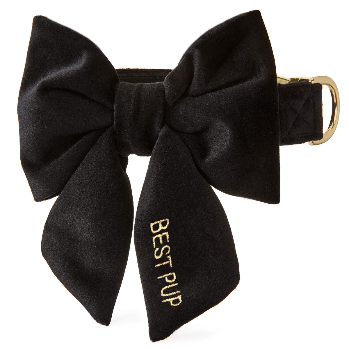 Black Velvet Lady Bow Collar from The Foggy Dog XS Small Gold