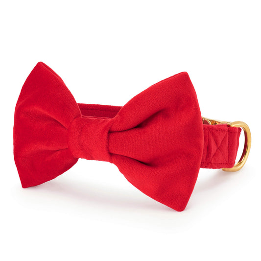 Cranberry Velvet Bow Tie Collar view 1