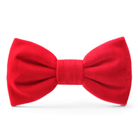 Cranberry Velvet Dog Bow Tie from The Foggy Dog