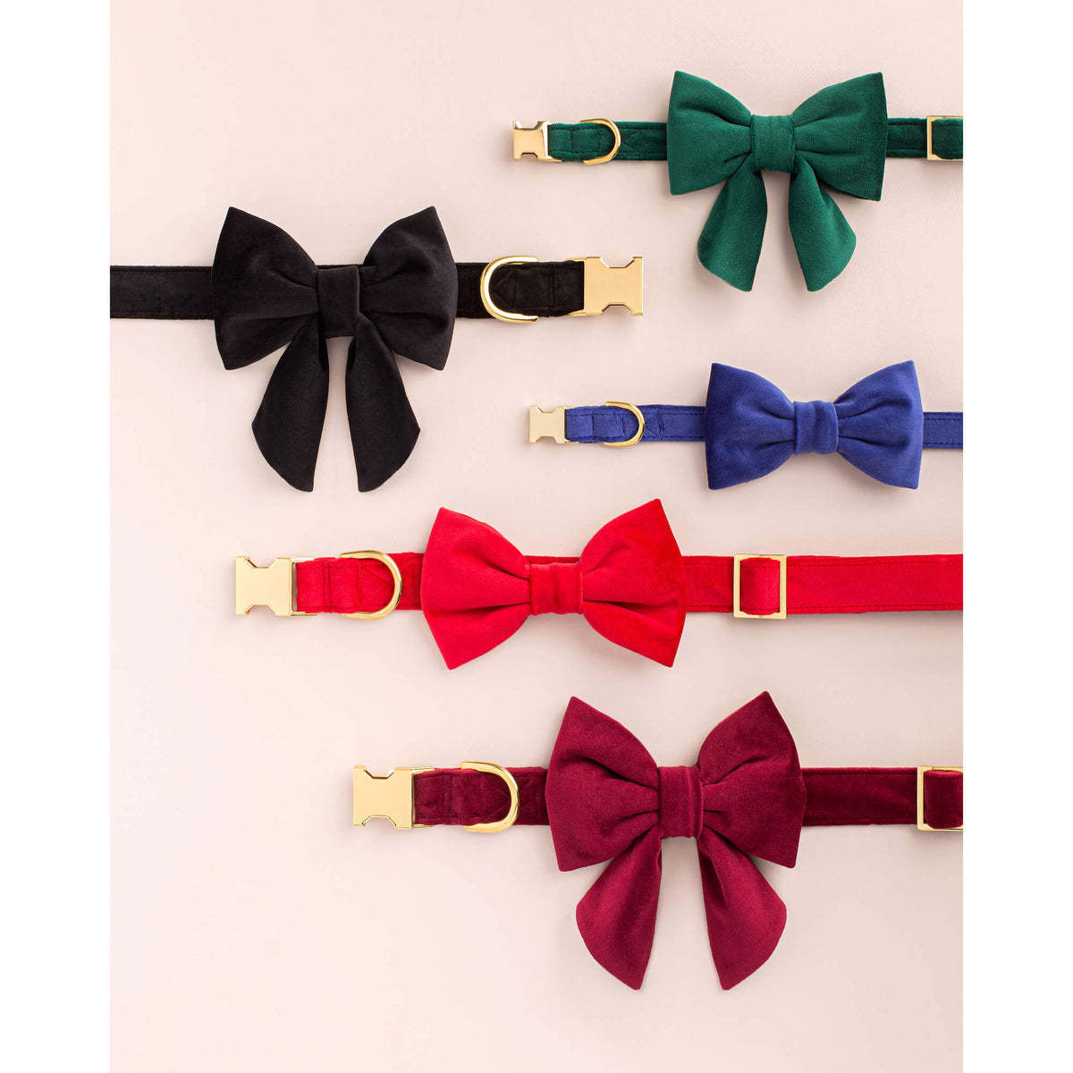 Burgundy Velvet Dog Collar from The Foggy Dog 