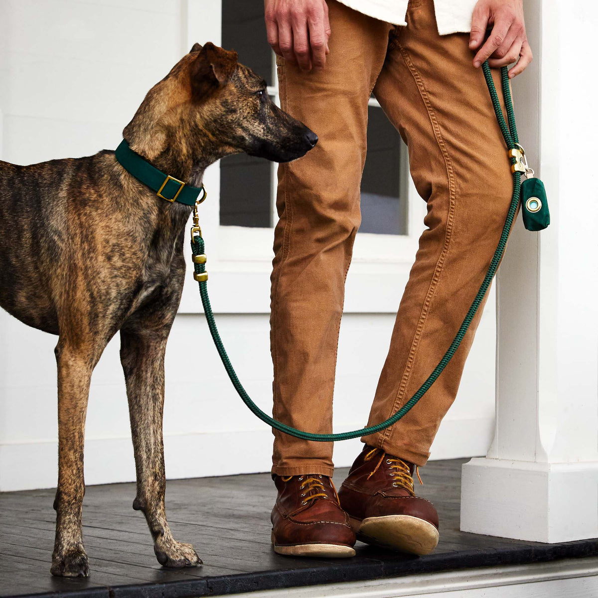 Evergreen Waxed Canvas Waste Bag Dispenser from The Foggy Dog 