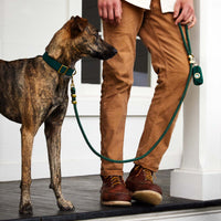 Evergreen Waxed Canvas Waste Bag Dispenser from The Foggy Dog 