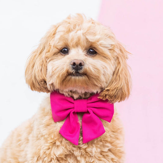 Hot Pink Lady Bow Collar view 2