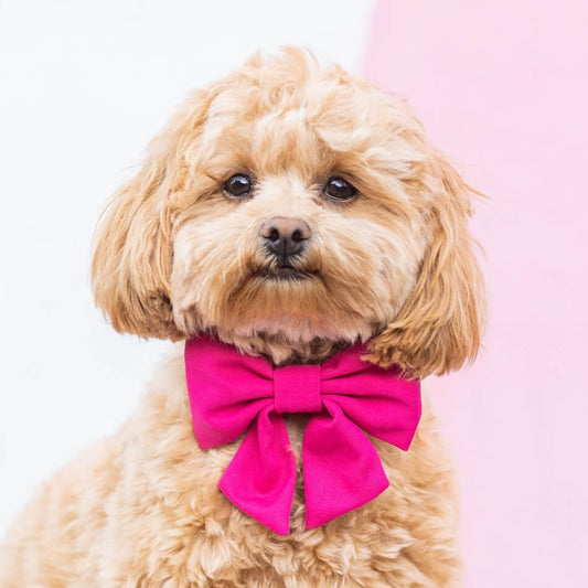 Hot Pink Lady Dog Bow view 2