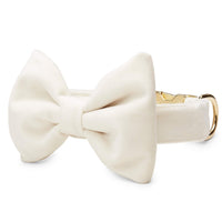 Ivory Velvet Bow Tie Collar from The Foggy Dog
