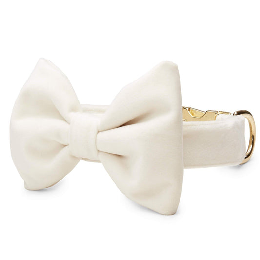 Ivory Velvet Bow Tie Collar view 1