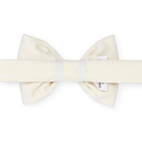 Ivory Velvet Dog Bow Tie from The Foggy Dog 