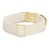 Ivory Velvet Dog Collar from The Foggy Dog 