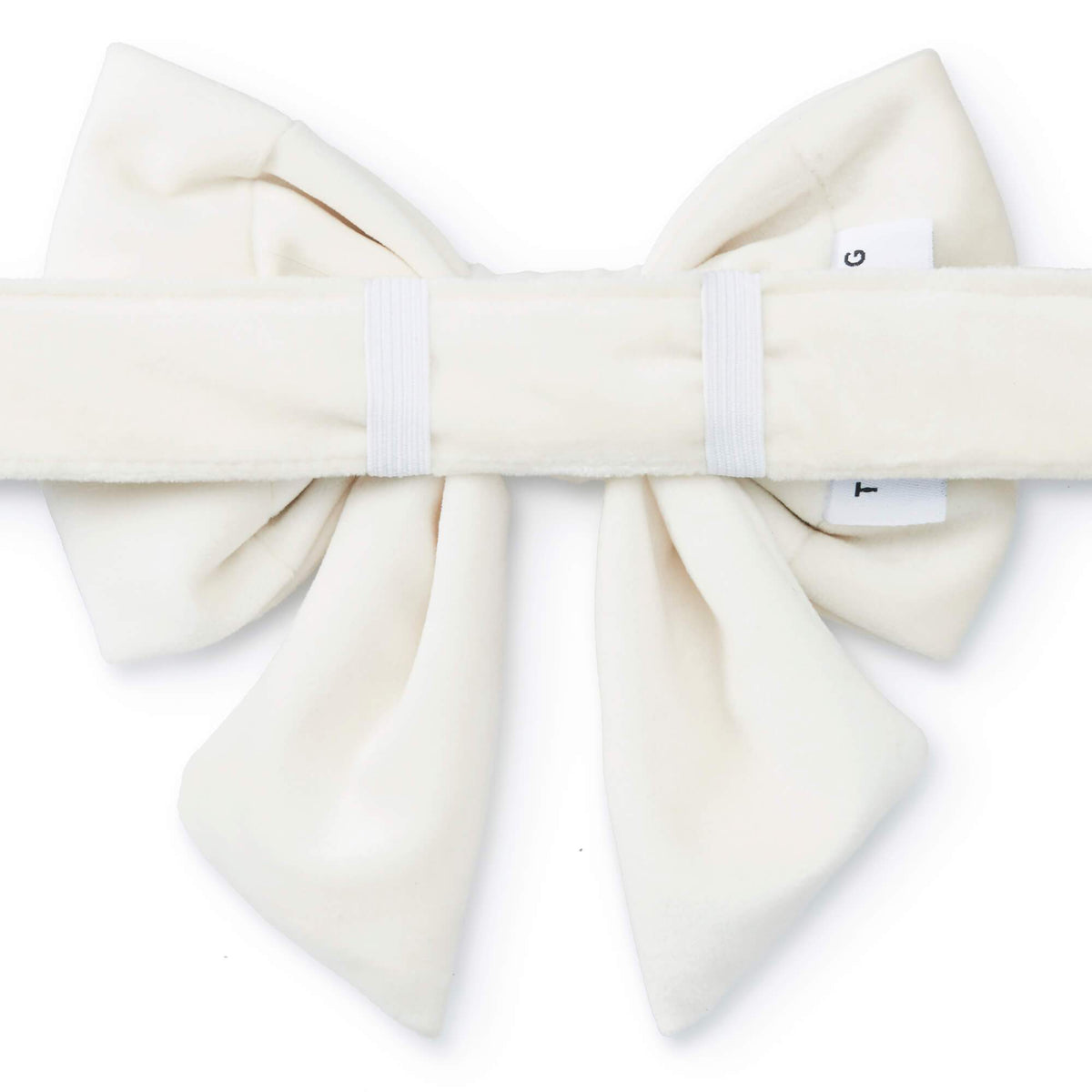 Ivory Velvet Lady Dog Bow from The Foggy Dog 