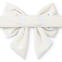 Ivory Velvet Lady Dog Bow from The Foggy Dog 