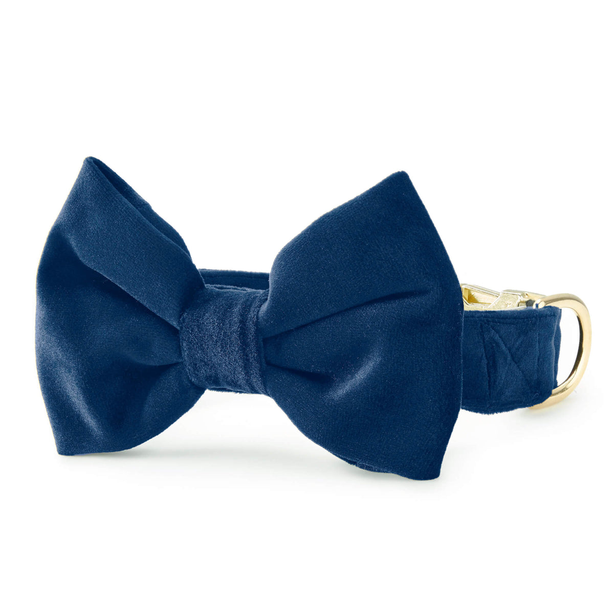 Navy Velvet Bow Tie Collar from The Foggy Dog
