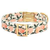 Peaches and Cream Dog Collar from The Foggy Dog 