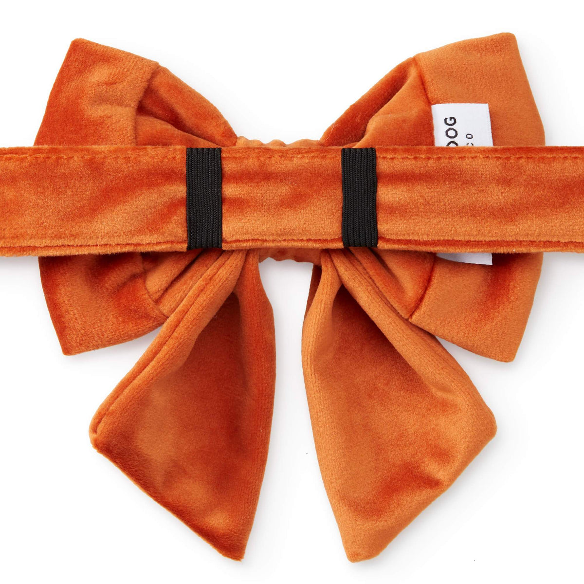 Pumpkin Velvet Lady Bow Collar from The Foggy Dog 
