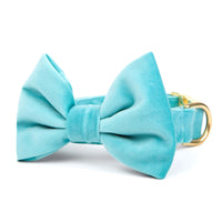 Robin's Egg Velvet Bow Tie Collar from The Foggy Dog