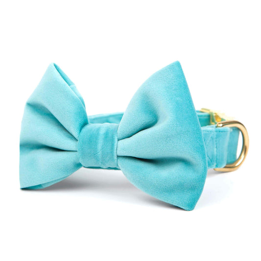 Robin's Egg Velvet Bow Tie Collar from The Foggy Dog