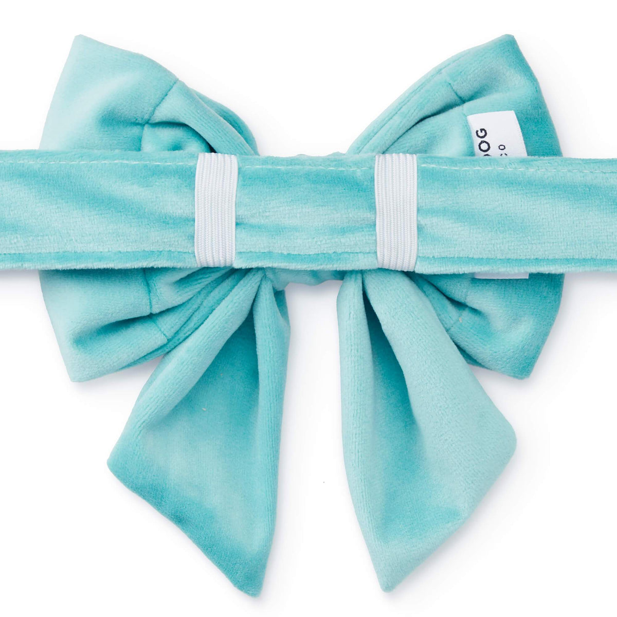 Robin's Egg Velvet Lady Bow Collar from The Foggy Dog 