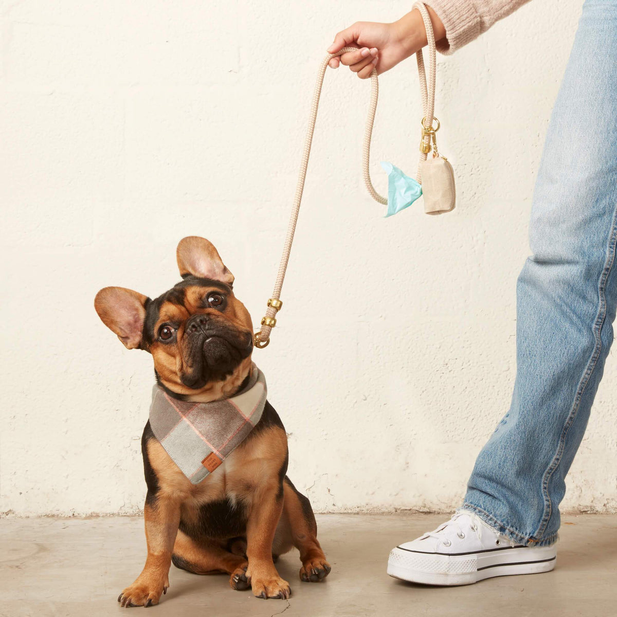 Sand Waxed Canvas Waste Bag Dispenser from The Foggy Dog 
