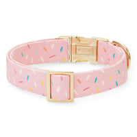 Sprinkles Dog Collar from The Foggy Dog 